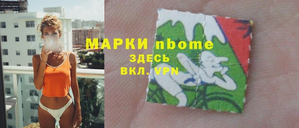 сатива Надым