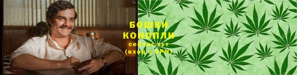 сатива Надым