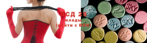сатива Надым