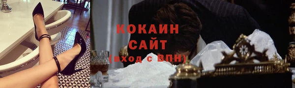 сатива Надым