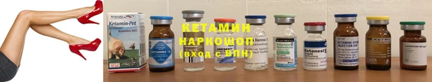 сатива Надым