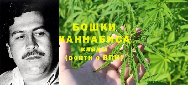 сатива Надым