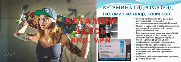 сатива Надым