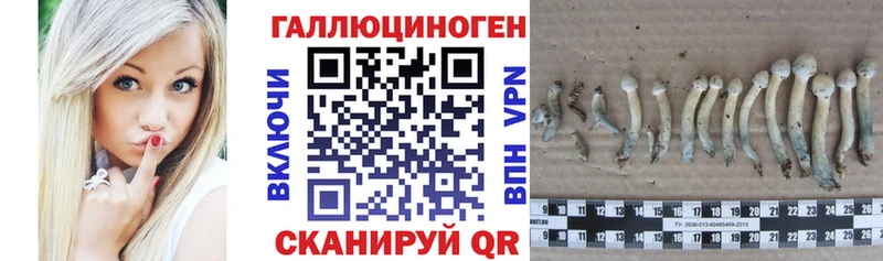 купить закладку  Томилино  Галлюциногенные грибы мухоморы 