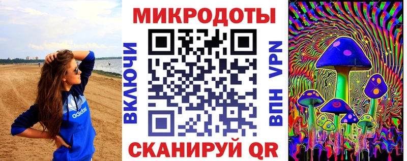 Псилоцибиновые грибы Psilocybine cubensis Томилино
